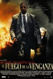 Hombre en llamas (2004)