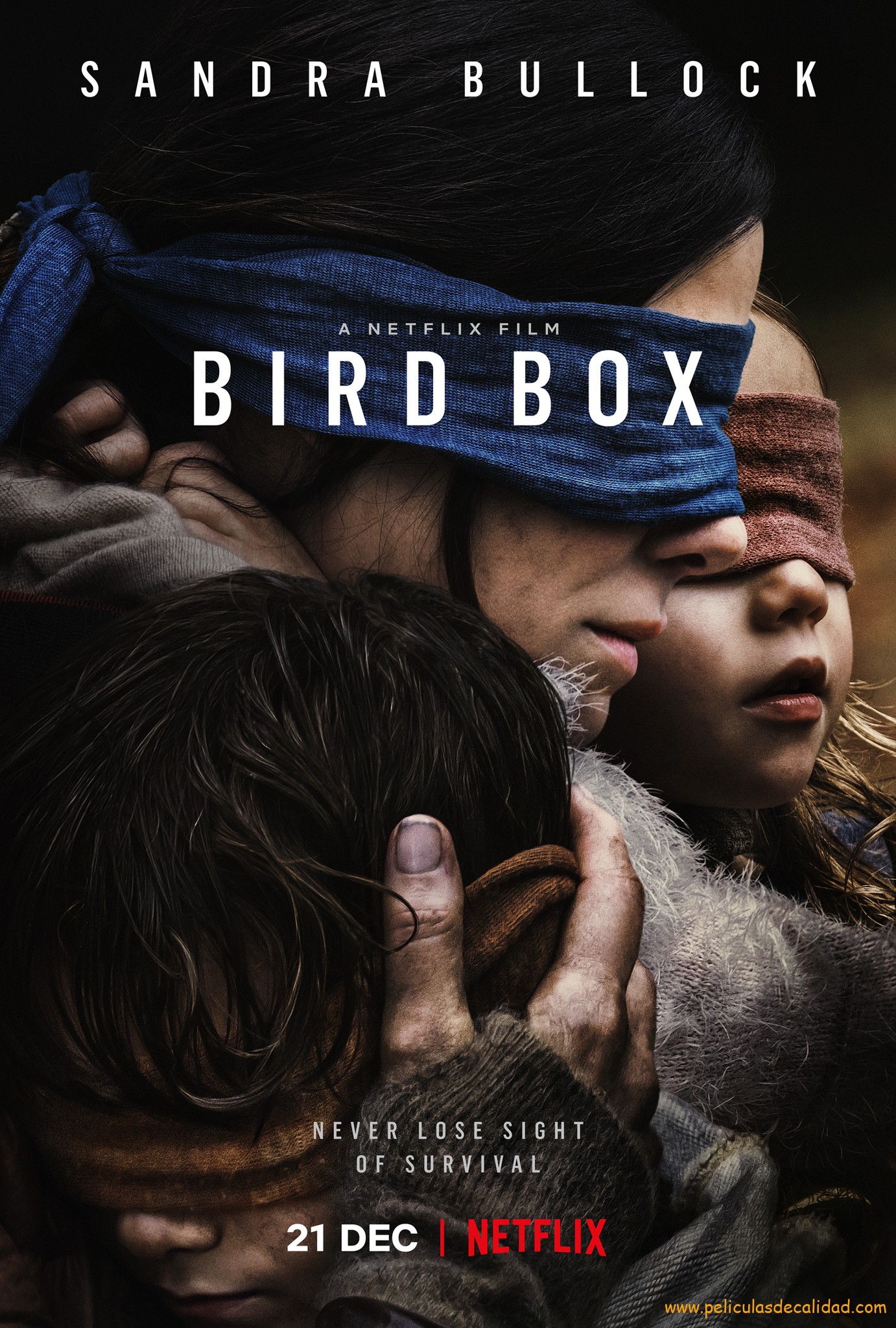 Bird Box [Subtitulada Español] [2018] [BrRip][OnLine/Descarga]