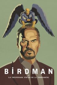 Birdman: La inesperada virtud de la ignorancia (2014)